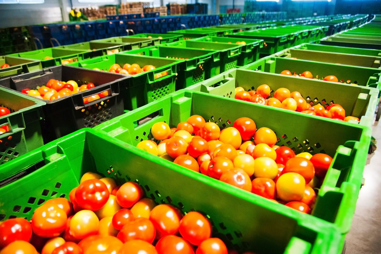 Jak sklepy powinny przechowywać warzywa?