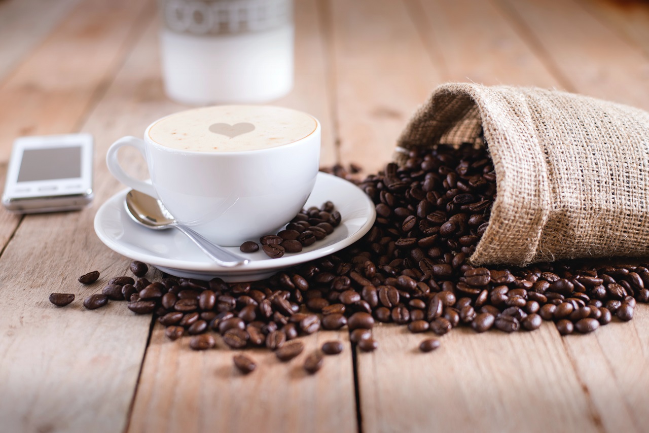 Jakie są główne gatunki kawy?